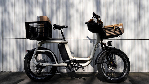 Ritmic Solo | Elwing